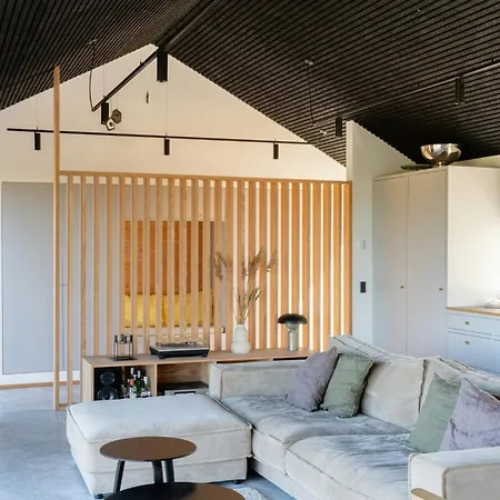 Vakantiehuis Architectural Gem Just 250 M From The North Sea *