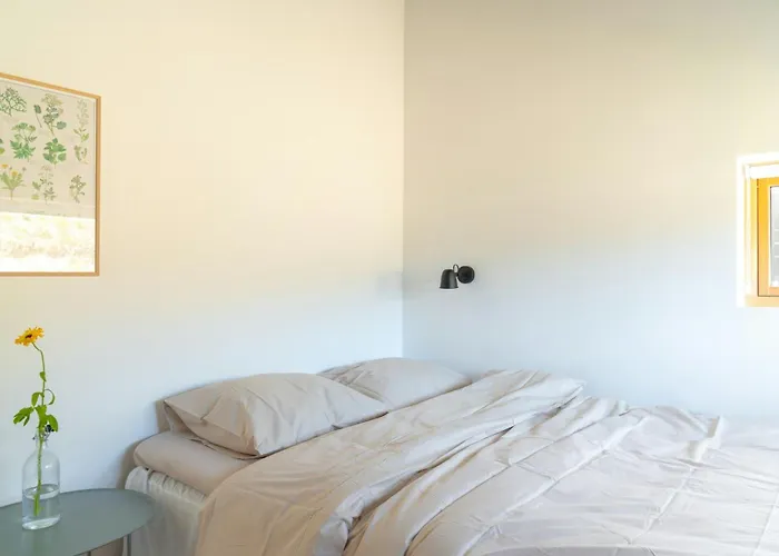 Architectural Gem Just 250 M From The North Sea Сasa de vacaciones *